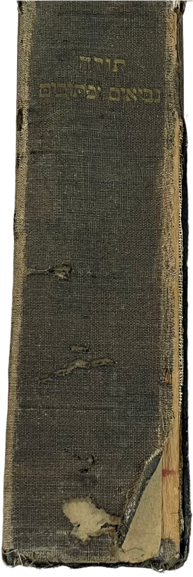 Torah