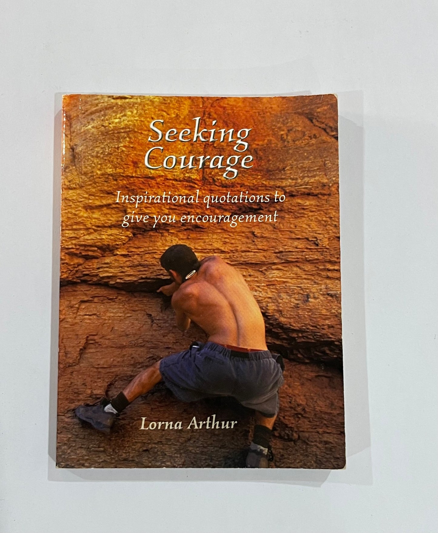Seeking Courage by Lorna Arthur