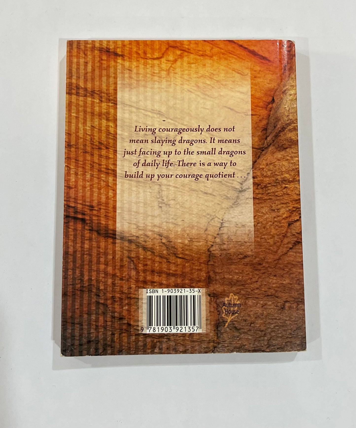 Seeking Courage by Lorna Arthur