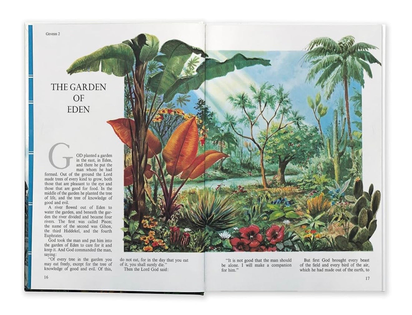 The Golden Children’s Bible