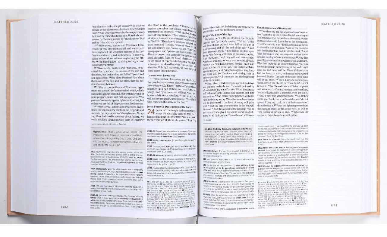 ESV Journaling Study Bible - Blush/Ochre Floral Design