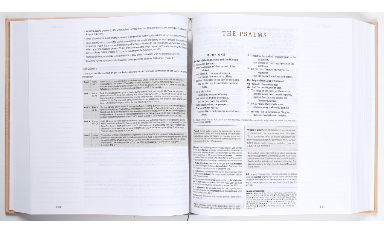 ESV Journaling Study Bible - Blush/Ochre Floral Design