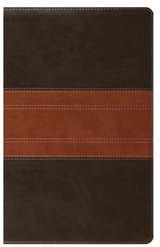 ESV Large Print Personal Size Bible Forest/Tan Trail Design (Red Letter Edition)